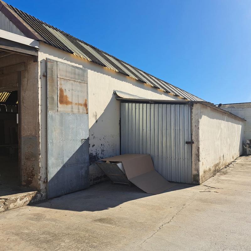 To Let Commercial Property for Rent in Deal Party Eastern Cape